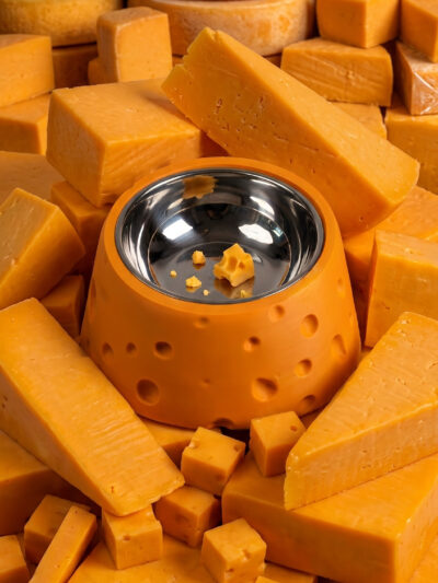 Cheesy Bowl Ergonomik Mama Kabı - Turuncu